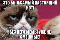 это был самый настоящий кот! без него мемы уже не смешные!