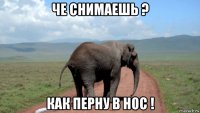 че снимаешь ? как перну в нос !