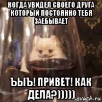 когда увидел своего друга который постоянно тебя заебывает ъыъ! привет! как дела?)))))