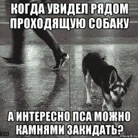 когда увидел рядом проходящую собаку а интересно пса можно камнями закидать?