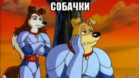 собачки 