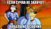 если сучка не захочет кобель не вскочит
