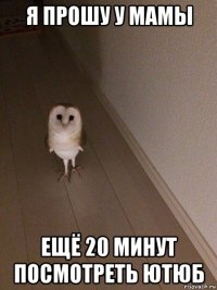 я прошу у мамы ещё 20 минут посмотреть ютюб