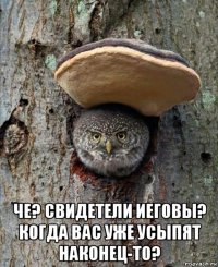  че? свидетели иеговы? когда вас уже усыпят наконец-то?