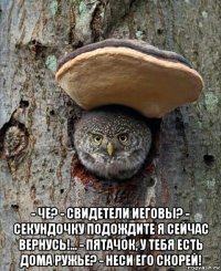  - че? - свидетели иеговы? - секундочку подождите я сейчас вернусь!... - пятачок, у тебя есть дома ружье? - неси его скорей!