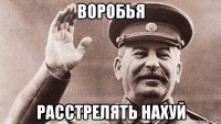 воробья расстрелять нахуй