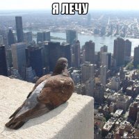 я лечу 