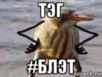 тэг #блэт