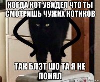 когда кот увидел что ты смотришь чужих котиков так блэт шо та я не понял