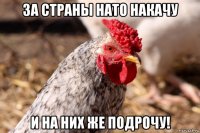 за страны нато накачу и на них же подрочу!