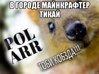 в городе майнкрафтер тикай 