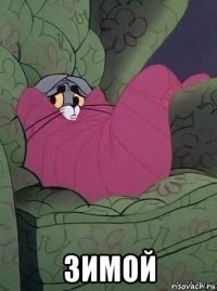  зимой