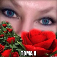  тома я