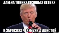 там на тонких розовых ветвях в зарослях черемухи душистой