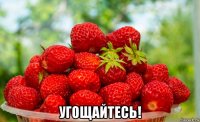  угощайтесь!
