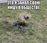 это я занял свою нишу в обществе 