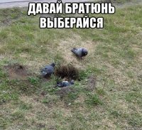 давай братюнь выберайся 