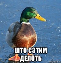  што сэтим делоть