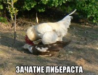  зачатие либераста