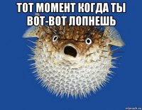 тот момент когда ты вот-вот лопнешь 