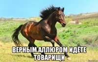  верным аллюром идёте товарищи