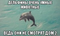дельфины очень умные животные ведь они не смотрят дом 2