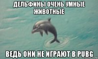 дельфины очень умные животные ведь они не играют в pubg