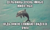 дельфины очень умные животные ведь они не снимают видео в qwai