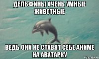 дельфины очень умные животные ведь они не ставят себе аниме на аватарку