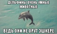 дельфины очень умные животные ведь они не орут эшкере