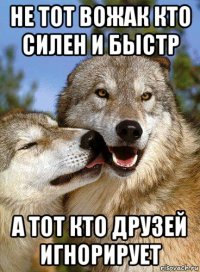 не тот вожак кто силен и быстр а тот кто друзей игнорирует
