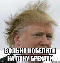  вольно кобеляти на луну брехати