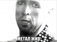  метал жив