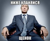 ниже кланяйся щенок