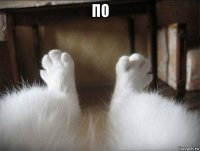 по 