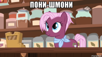 пони-шмони 