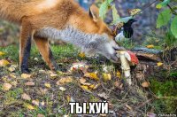  ты хуй