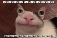 ?????????????????????????????? ??????????????????????????????????????