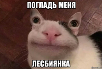 погладь меня лесбиянка