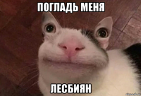 погладь меня лесбиян