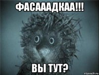 фасааадкаа!!! вы тут?