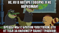 не, ну в натуре говорю, я не наркоман! врёшь! мы с братом чувствуем, что от тебя за километр пахнет травкой!