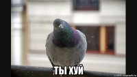  ты хуй