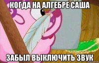 когда на алгебре саша забыл выключить звук