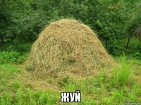  жуй