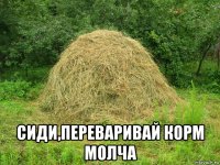  сиди,переваривай корм молча