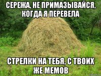 сережа, не примазывайся, когда я перевела стрелки на тебя, с твоих же мемов
