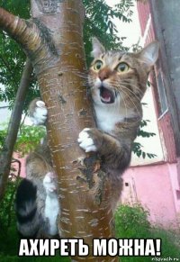  ахиреть можна!