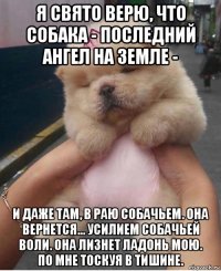 я свято верю, что собака - последний ангел на земле - и даже там, в раю собачьем. она вернется... усилием собачьей воли. она лизнет ладонь мою. по мне тоскуя в тишине.