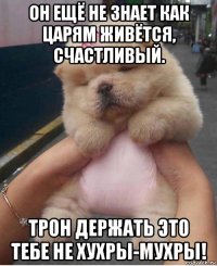 он ещё не знает как царям живётся, счастливый. трон держать это тебе не хухры-мухры!